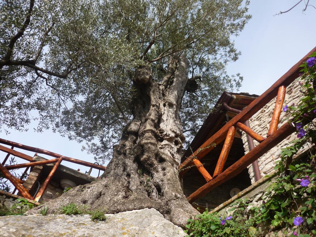 Bed and Breakfast Rocca Del Vento à San Pantaleone Extérieur photo